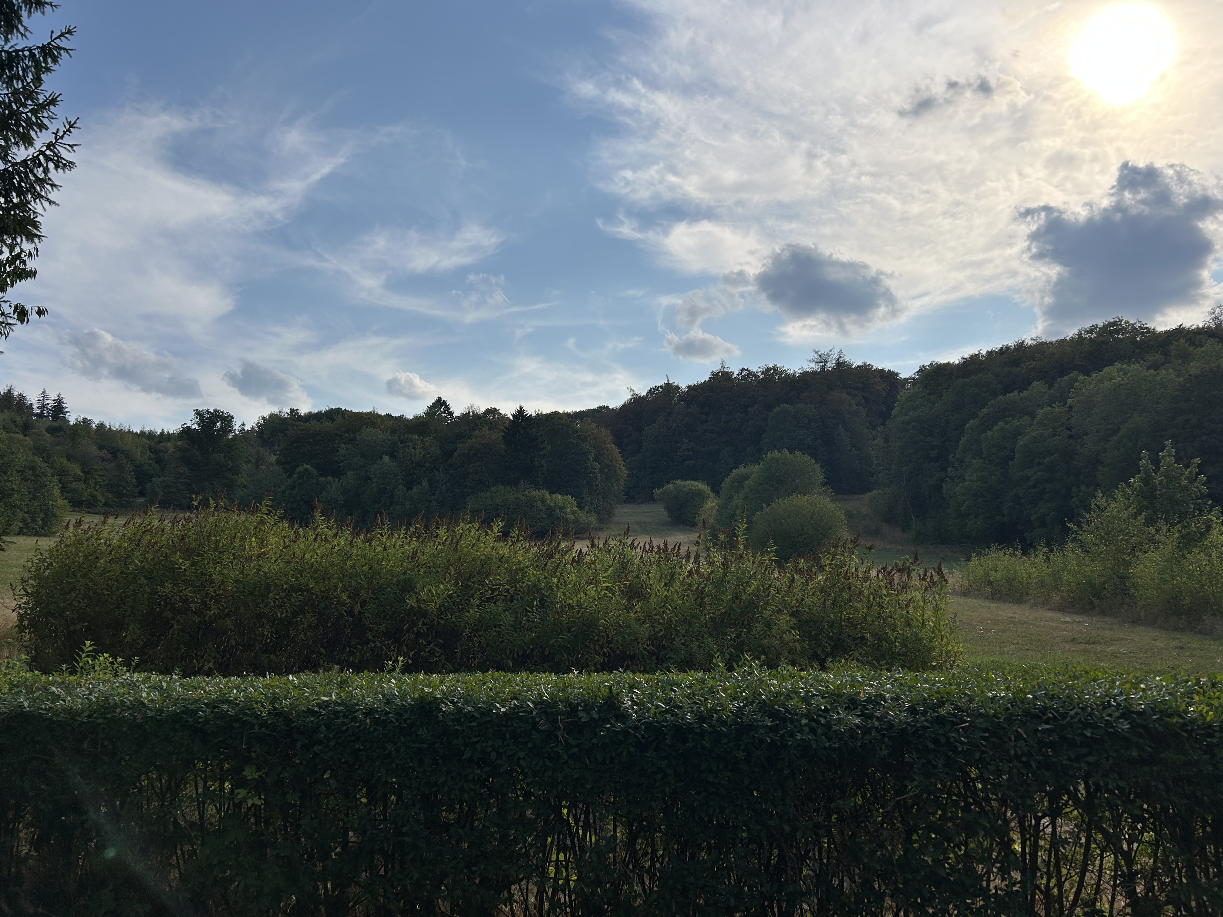 Brandgeruch in der Region Möglich