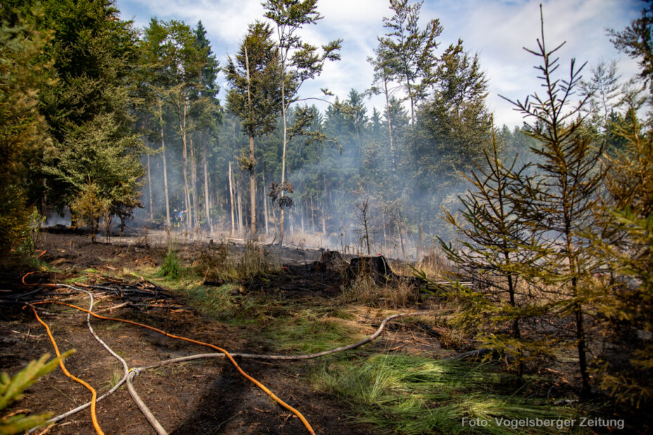Waldbrand bei Lingelbach: 10.000 Quadratmeter Wald in Flammen