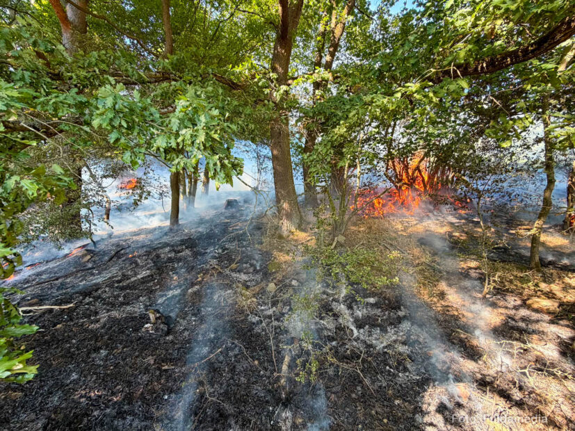 Waldbrand bei Eichenau